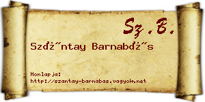 Szántay Barnabás névjegykártya